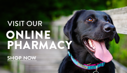 Our Online Pharmacy Banner